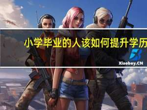小学毕业的人该如何提升学历
