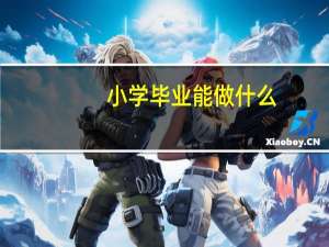 小学毕业能做什么