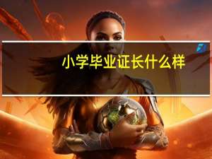 小学毕业证长什么样