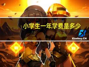 小学生一年学费是多少