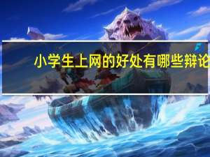 小学生上网的好处有哪些 辩论（小学生上网的好处）