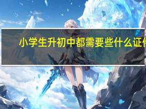 小学生升初中都需要些什么证件