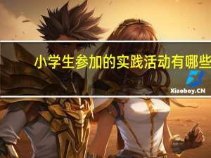 小学生参加的实践活动有哪些