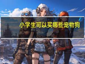 小学生可以买哪些宠物狗
