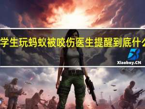 小学生玩蚂蚁被咬伤 医生提醒 到底什么情况呢