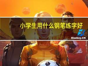 小学生用什么钢笔练字好