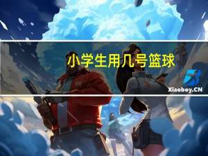 小学生用几号篮球