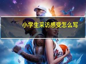 小学生采访感受怎么写
