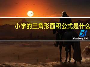 小学的三角形面积公式是什么