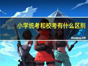 小学统考和校考有什么区别