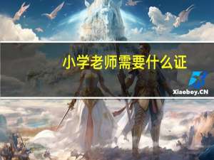 小学老师需要什么证