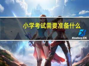 小学考试需要准备什么