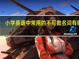 小学英语中常用的不可数名词有哪些
