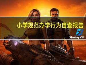 小学规范办学行为自查报告