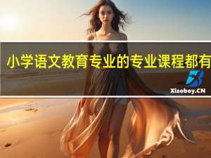 小学语文教育专业的专业课程都有哪些