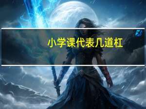小学课代表几道杠