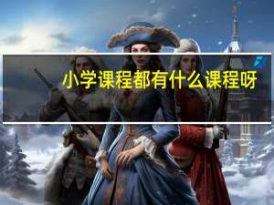 小学课程都有什么课程呀