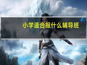 小学适合报什么辅导班