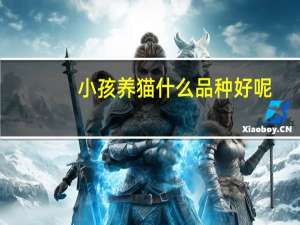 小孩养猫什么品种好呢