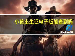 小孩出生证电子版能查到吗
