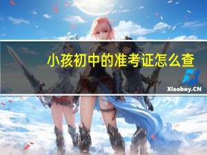 小孩初中的准考证怎么查