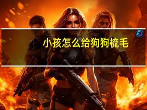 小孩怎么给狗狗梳毛