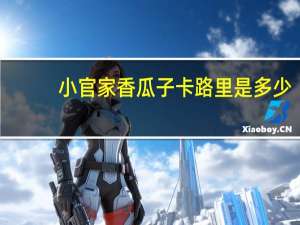 小官家 香瓜子卡路里是多少