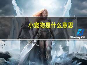小宠物是什么意思