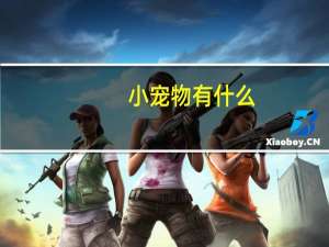 小宠物有什么