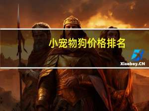 小宠物狗价格排名