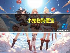 小宠物狗便宜