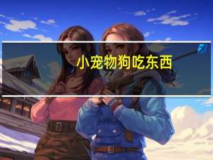 小宠物狗吃东西