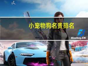 小宠物狗名贵排名