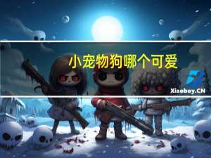 小宠物狗哪个可爱