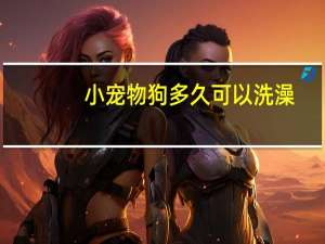 小宠物狗多久可以洗澡