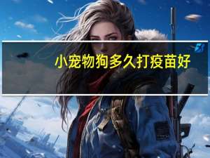 小宠物狗多久打疫苗好