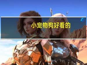小宠物狗好看的