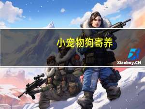 小宠物狗寄养