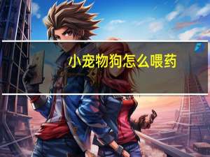 小宠物狗怎么喂药
