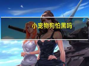 小宠物狗怕黑吗