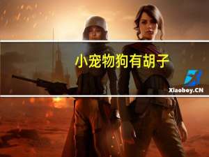 小宠物狗有胡子