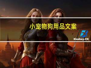 小宠物狗用品文案