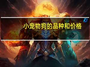 小宠物狗的品种和价格