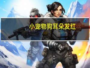 小宠物狗耳朵发红