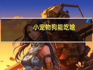 小宠物狗能吃啥