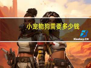 小宠物狗需要多少钱