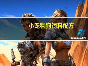 小宠物狗饲料配方