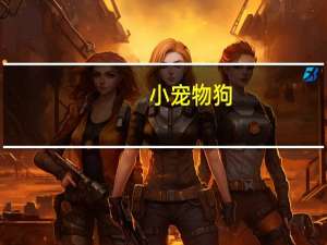 小宠物狗