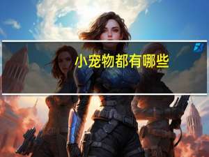小宠物都有哪些