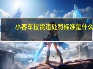 小客车拉货违处罚标准是什么